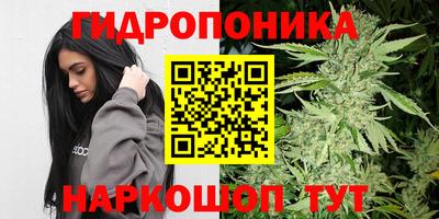 ПСИЛОЦИБИНОВЫЕ ГРИБЫ Коммунар