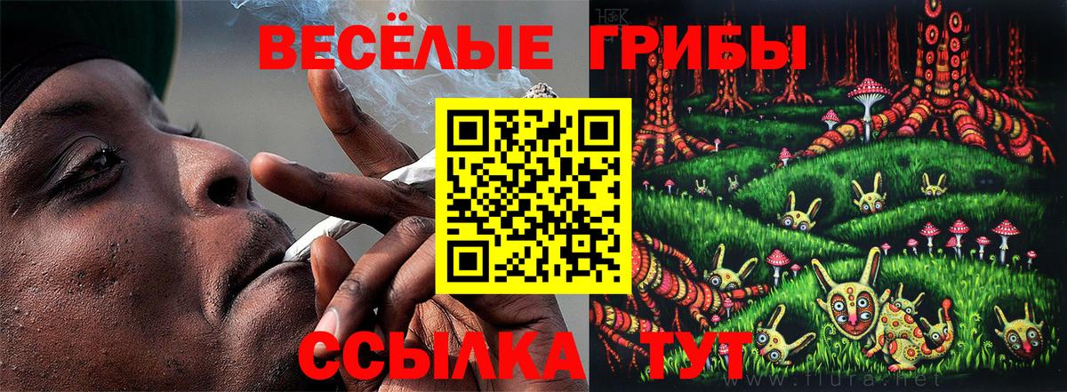 Кольчугино  Псилоцибиновые грибы мицелий  Галлюциногенные грибы GOLDEN TEACHER  Вход с VPN 