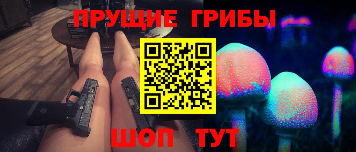 Псилоцибиновые грибы Psilocybe Кольчугино