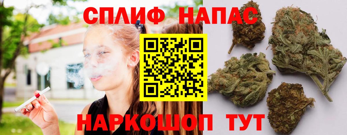 Марихуана конопля Кольчугино